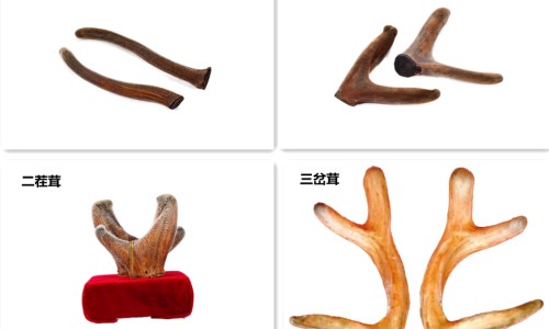 尿碰到脸上有事吗-尿脸上当场、尿到脸上会过敏吗女生 -尿到脸上会过敏吗网